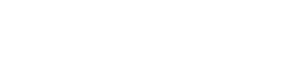 AIDEMAIN
